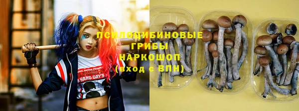 дурь Аркадак
