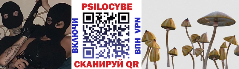 Псилоцибиновые грибы Cubensis  Осинники 