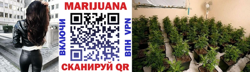 Бошки марихуана THC 21%  купить закладку  mega вход  Осинники 